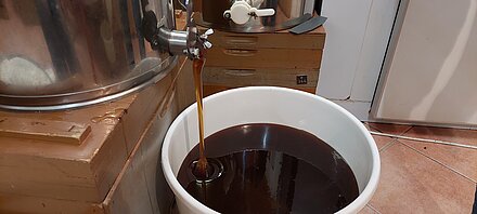 Miele di bosco setacciato