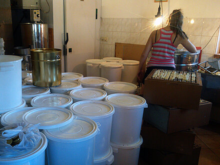 Durante la smielatura