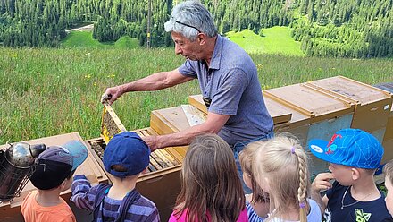 Si cerca un favo con la regina delle api